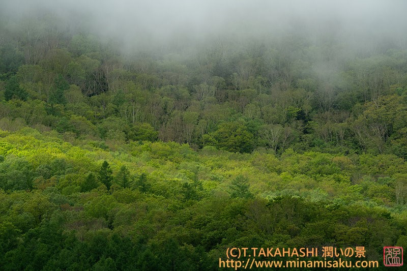 ../Images/7R250601 (78).jpg